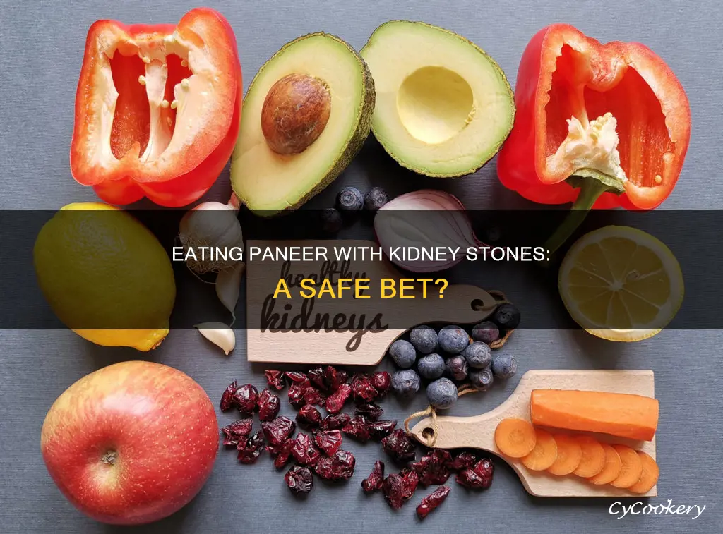 can I eat paneer in kidney stone