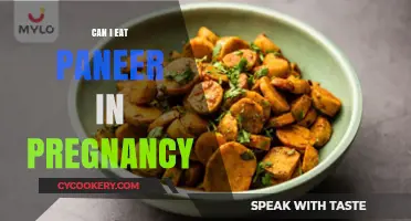 Pregnancy Diet: Is Paneer Safe to Eat?