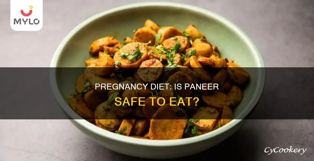 can I eat paneer in pregnancy