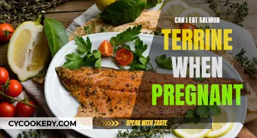 Salmon Terrine: Safe Eating During Pregnancy?