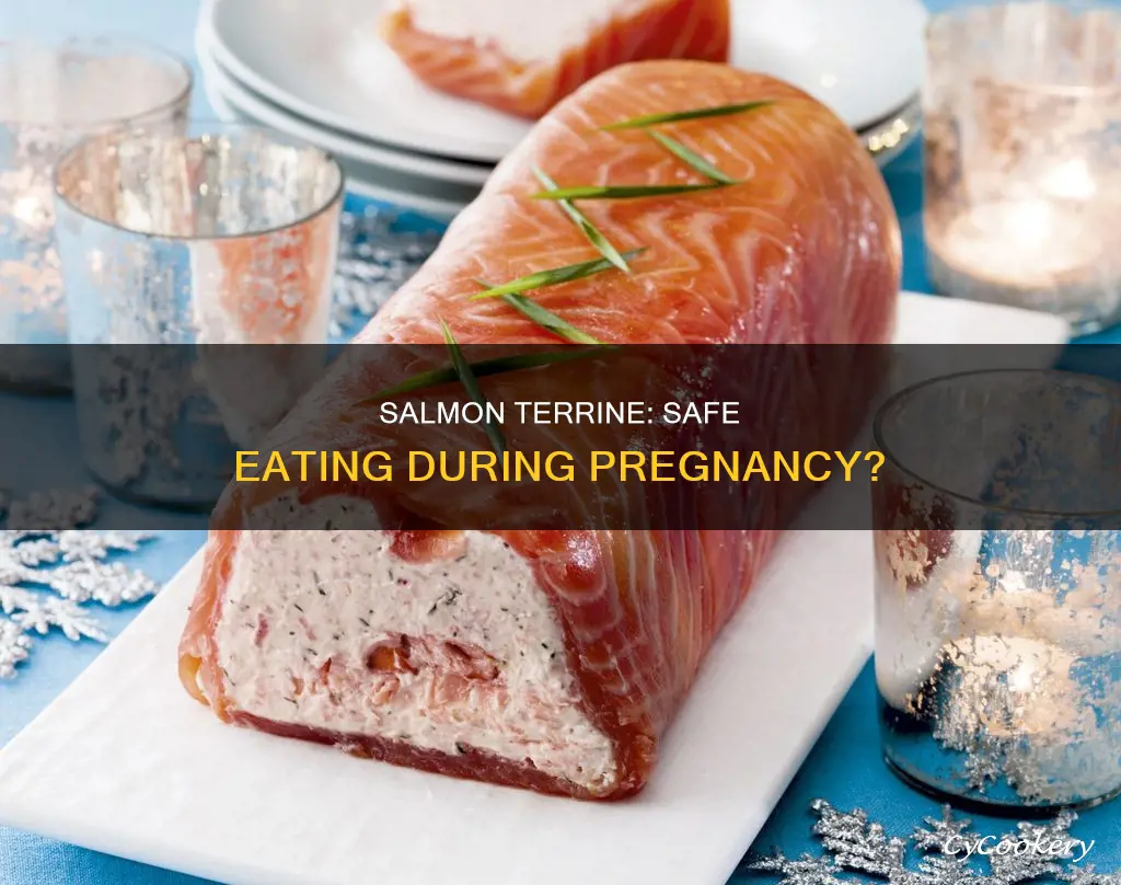 can i eat salmon terrine when pregnant