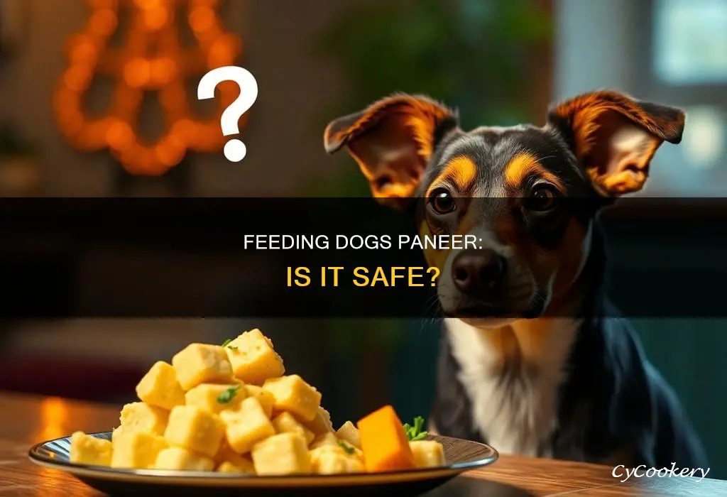 can I feed my dog paneer