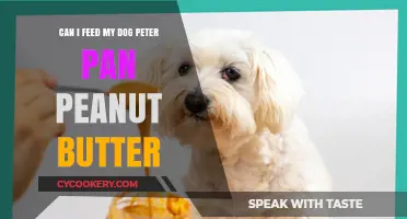 Peter Pan Peanut Butter: Safe for Dogs?