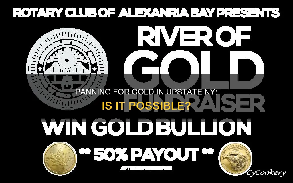 can I find gold panning in upstate ny