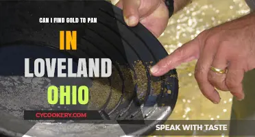 Panning for Gold in Loveland, Ohio: Is it Possible?