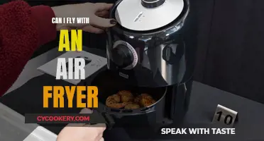 Air Fryer Travel: Can You Take Them on a Plane?