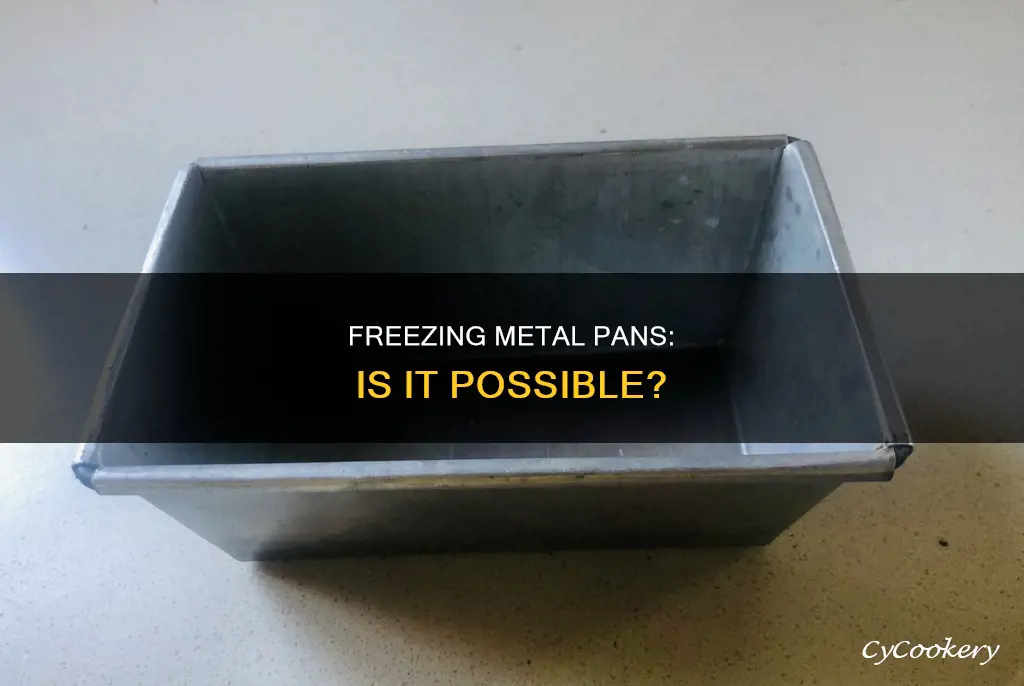 can I freeze a metal pan