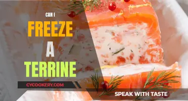 Freezing Terrine: A Smart Preservation Method?