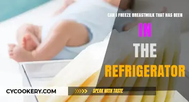Freezing Refrigerated Breast Milk: Safe Storage Tips for New Moms