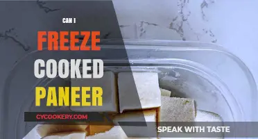 Freezing Cooked Paneer: A Smart Way to Store