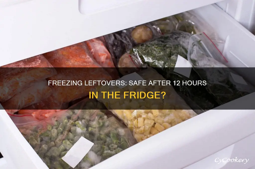 can i freeze leftovers after 12 hours in refrigerator
