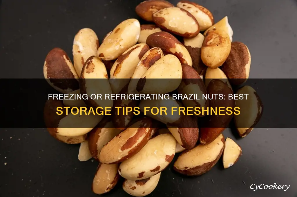 can i freeze my brazil nuts or refrigerate them