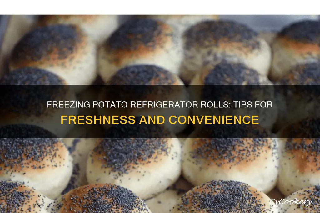 can i freeze potato refrigerator rolls