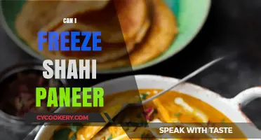 Freezing Shahi Paneer: A Smart Way to Preserve the Dish