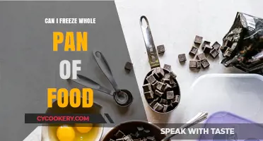 Freezing a Whole Pan of Food: Is it Possible?