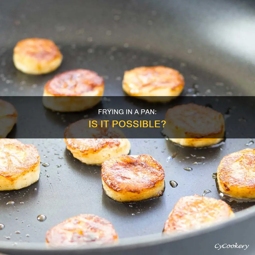 can I fry in pan