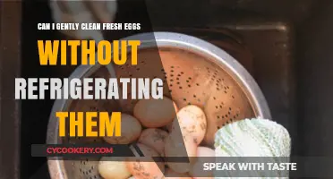 Gently Cleaning Fresh Eggs: A Guide to Safe, Non-Refrigerated Care