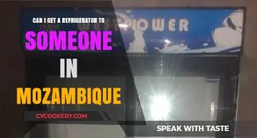 How to Send a Refrigerator to Mozambique: A Comprehensive Guide