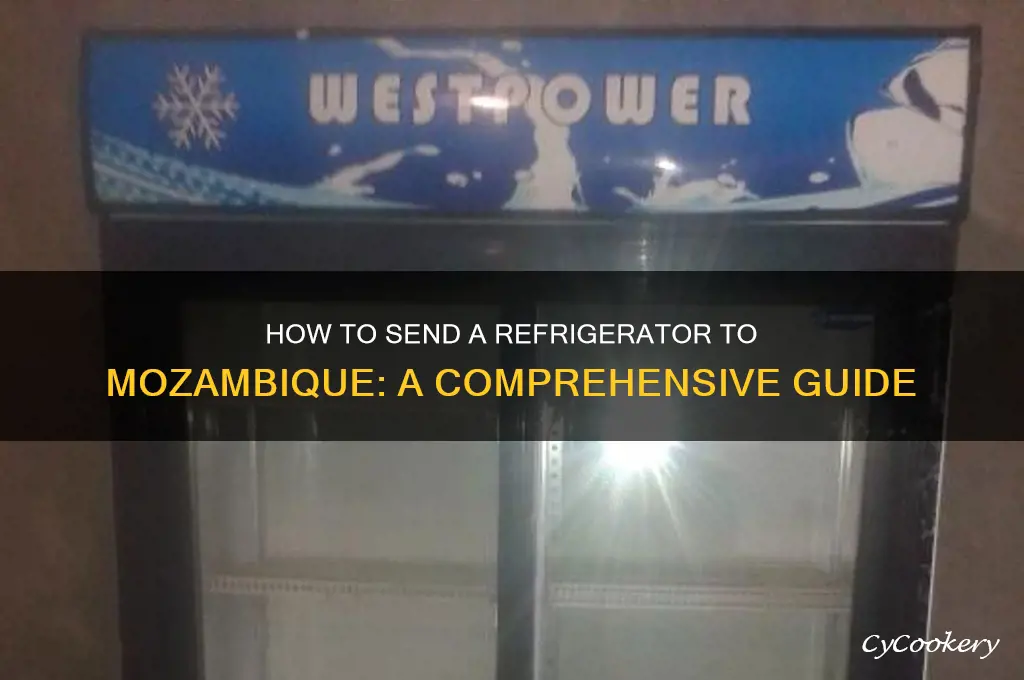 can i get a refrigerator to someone in mozambique