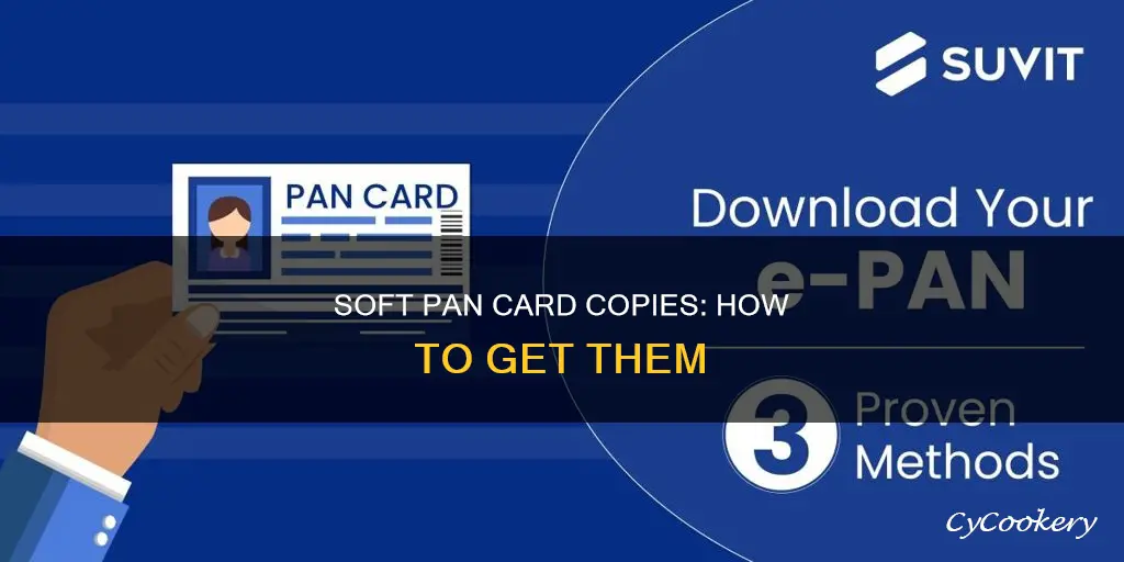 can I get a soft copy of my pan card