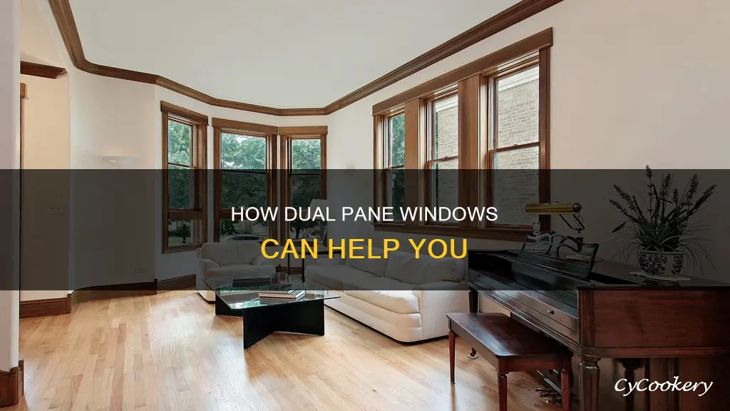 can I get assistance with dual pane windows