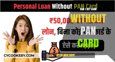 PAN Cardless Loans: Is It Possible?