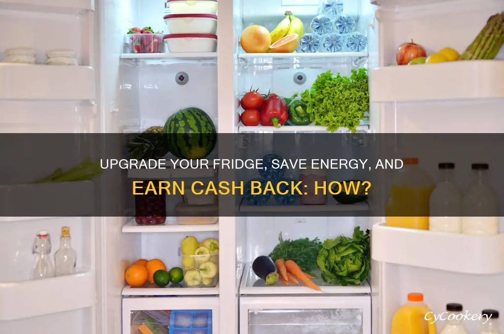 can i get money for upgrading my refrigerator