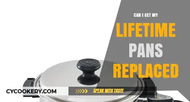 Lifetime Pans: Can They Be Replaced?