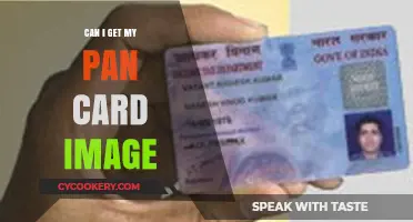 Instant Pan Card Image: How to Get It