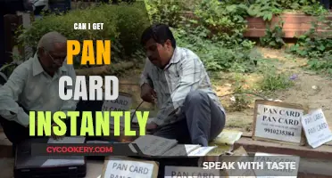 Instant Pan Card: Is it Possible?