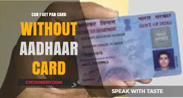 Get a PAN Card Without an Aadhaar: Here's How