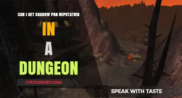 How to Earn Shadow Pan Reputation in Dungeons