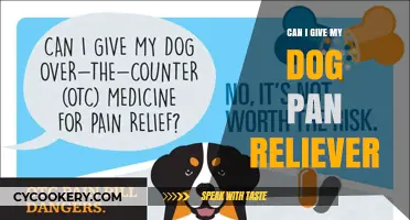 Pan Reliever for Dogs: Safe or Not?
