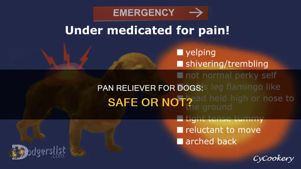 can I give my dog pan reliever