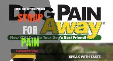 Is Panado Syrup Safe for Dogs?