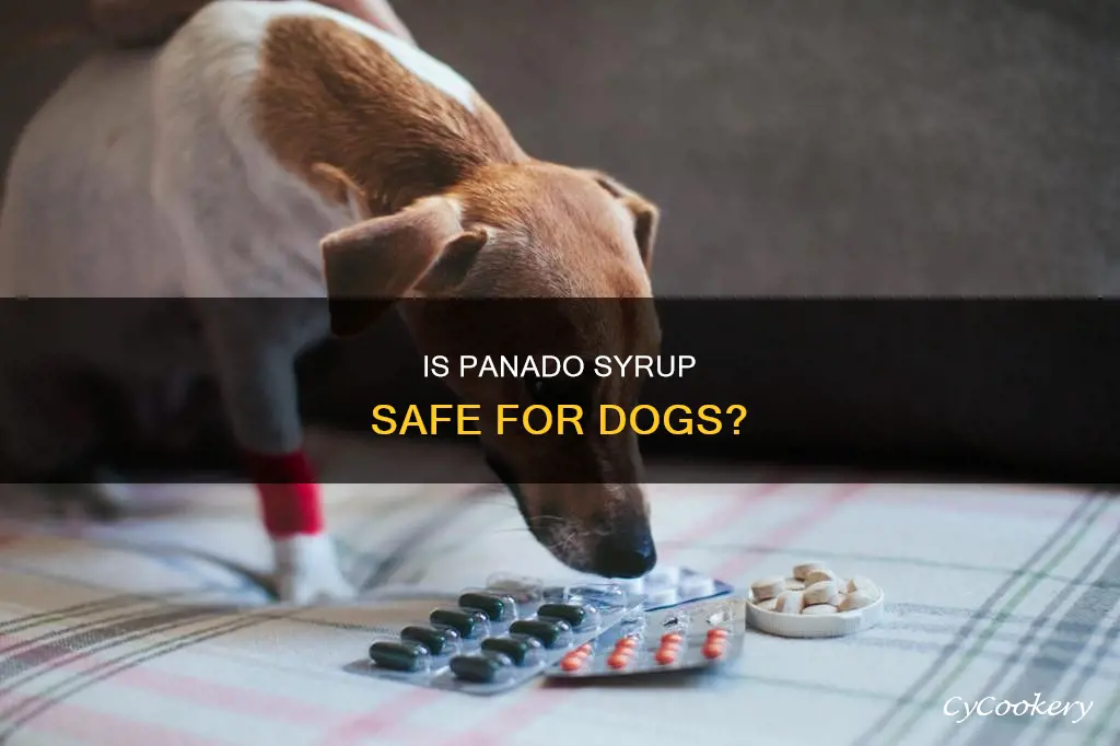 can I give my dog panado syrup for pain