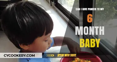 Introducing Paneer to Your Six-Month-Old: Is It Safe?