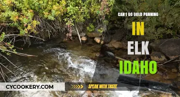 Gold Panning in Elk Idaho: Is It Allowed?