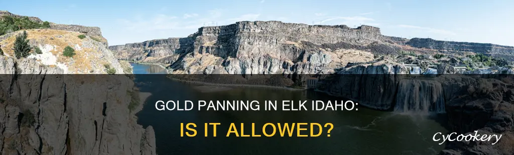 can I go gold panning in elk idaho