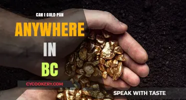 Gold Panning in BC: Where is it Legal?