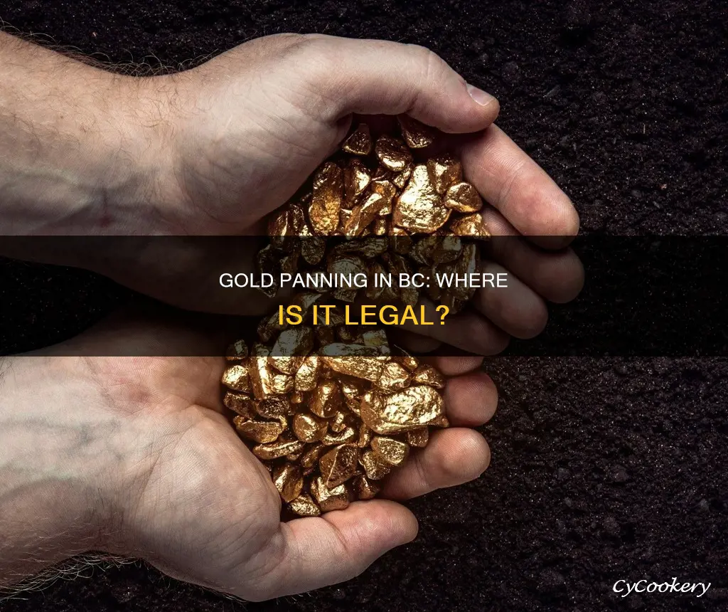 can I gold pan anywhere in bc