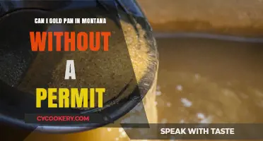 Gold Panning in Montana: Permit Requirements