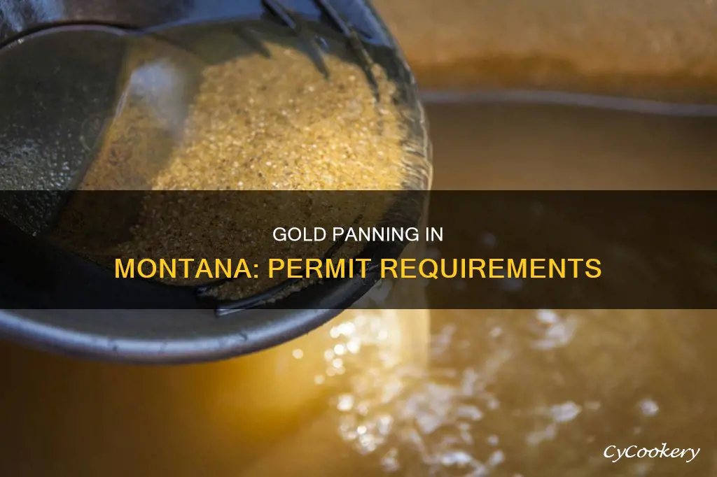 can I gold pan in montana without a permit
