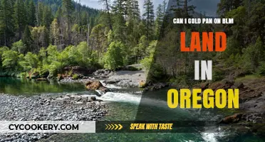 Gold Panning on Oregon's BLM Land: What You Need to Know
