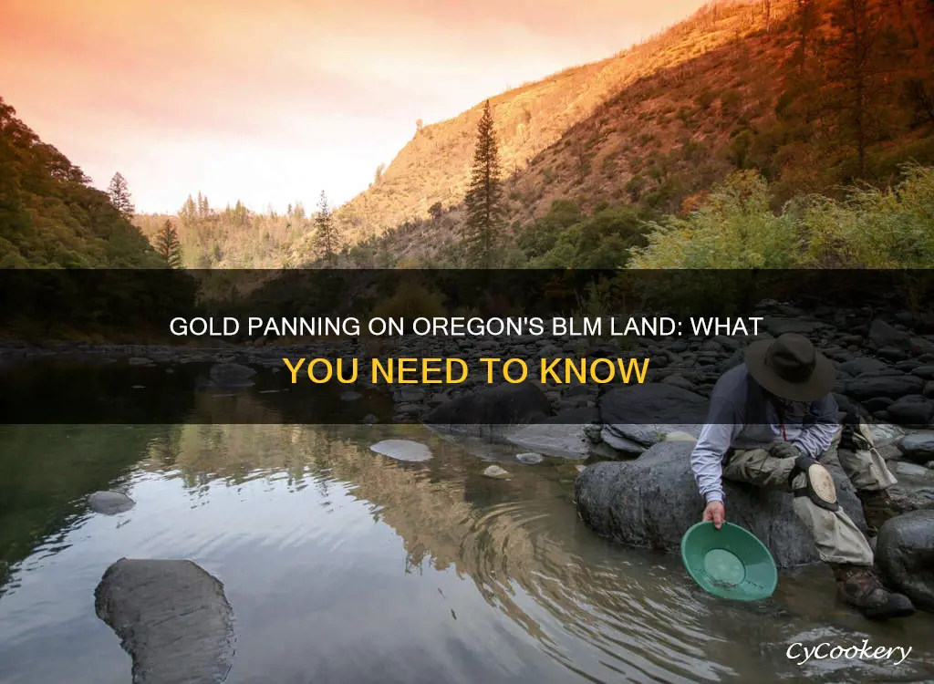 can I gold pan on blm land in Oregon