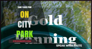 Gold Panning in City Parks: Is It Allowed?