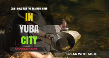 Gold Panning in Yuba: Feather River Prospects