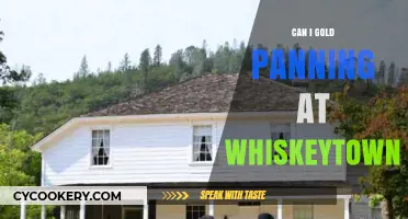 Gold Panning at Whiskeytown: Is It Allowed?