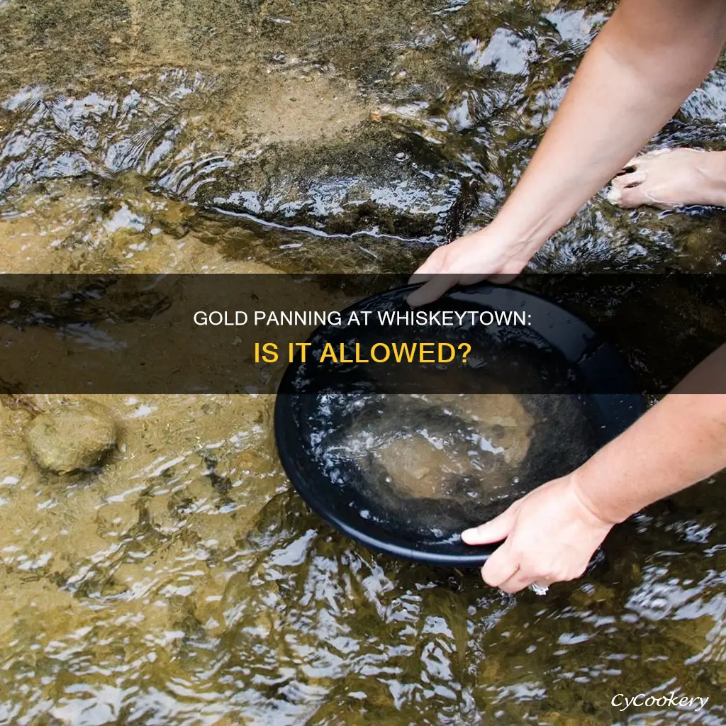 can I gold panning at whiskeytown