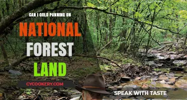 Gold Panning on National Forest Land: Is It Allowed?
